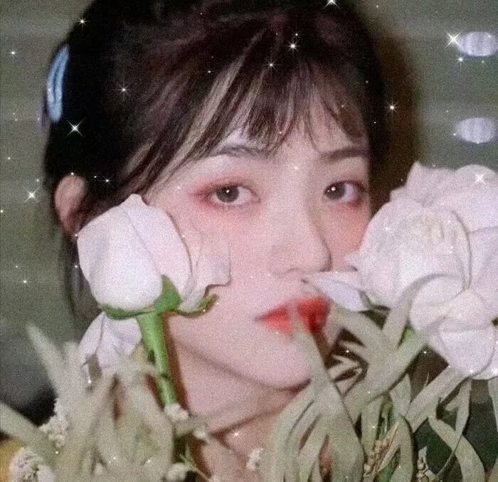 妖狐传